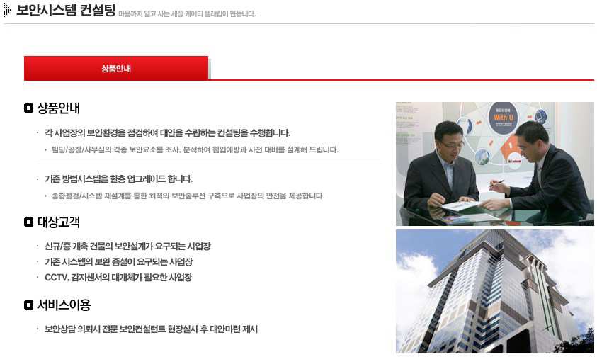 security_consulting